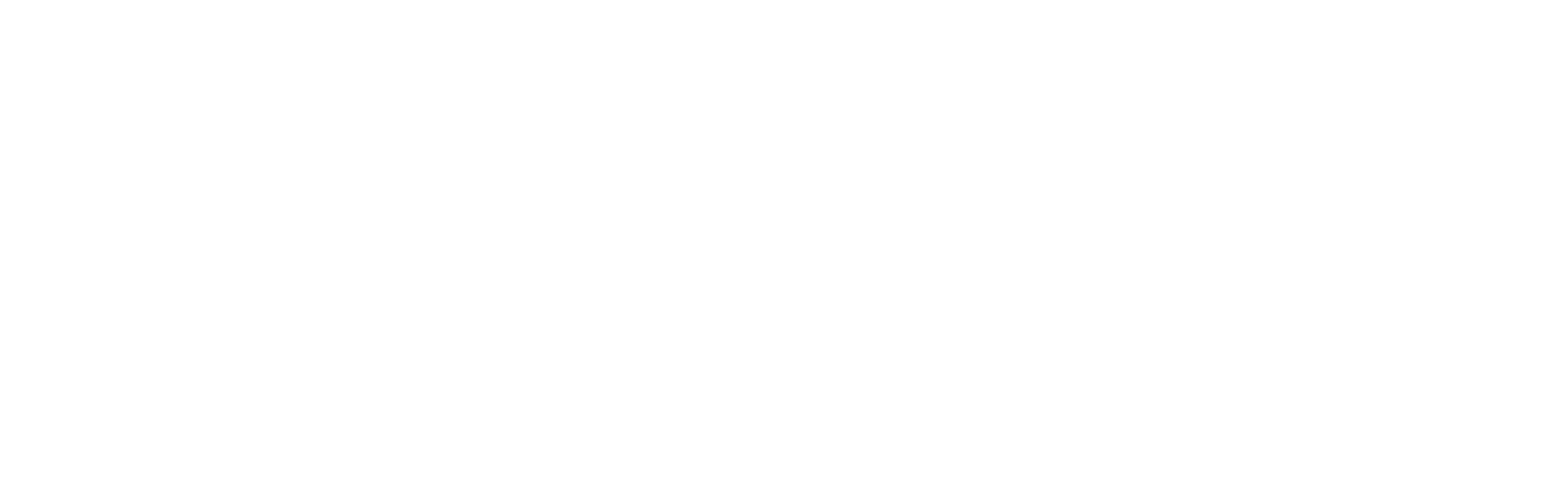 Aarya W