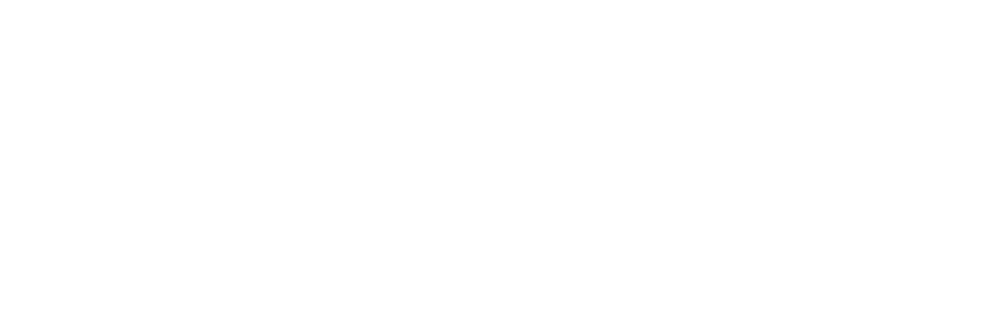 Castrol W